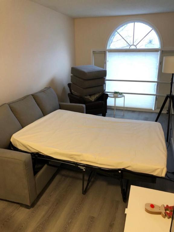 Апартаменти Unit #201 Cozy Mountain View 1Br In Dt Кенмор Екстер'єр фото